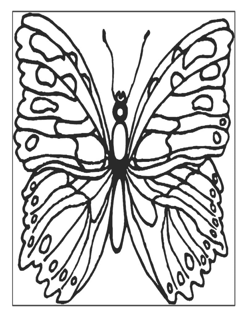Butterfly Coloring Set XL