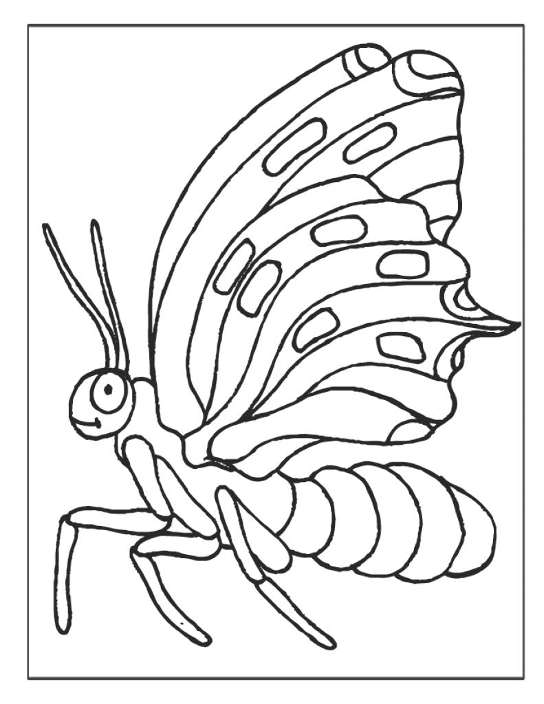 Butterfly Coloring Set XL